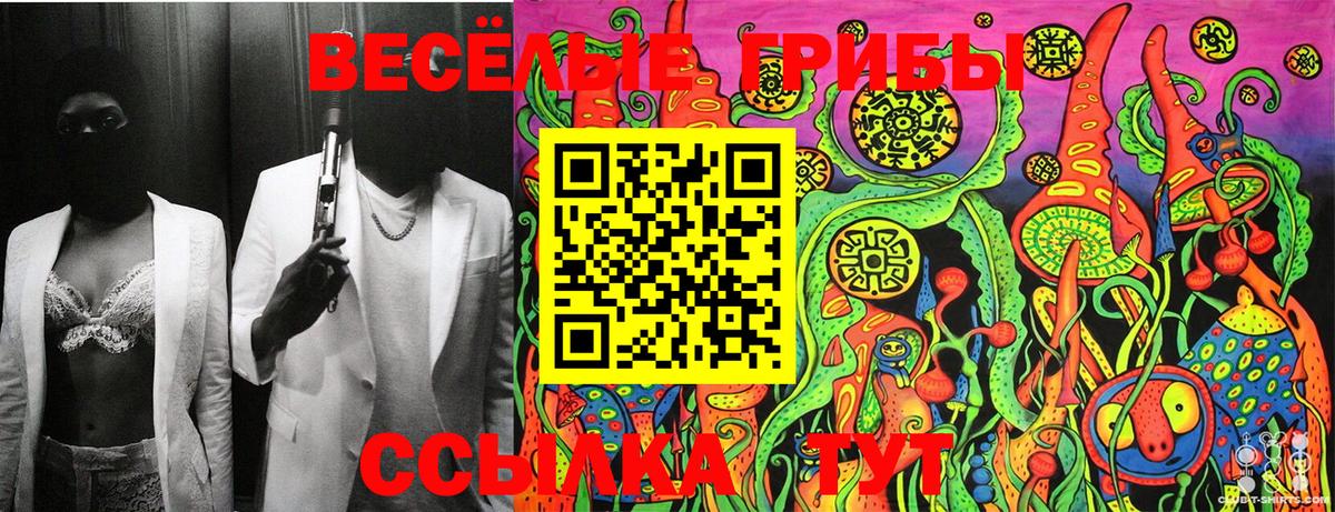 Галлюциногенные грибы Cubensis Орск